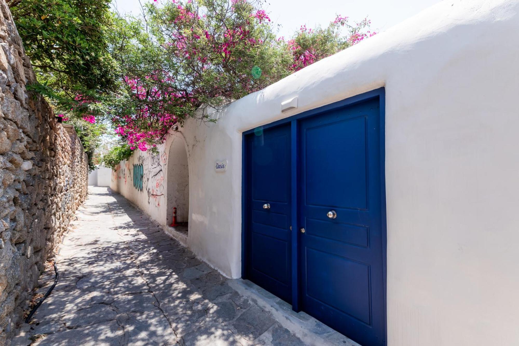 Olive Tree & Capari Mykonos Town Homes & Apartments With Pool! Eksteriør billede