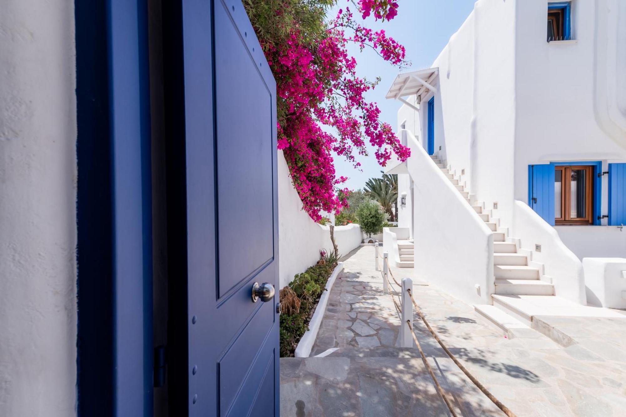 Olive Tree & Capari Mykonos Town Homes & Apartments With Pool! Eksteriør billede